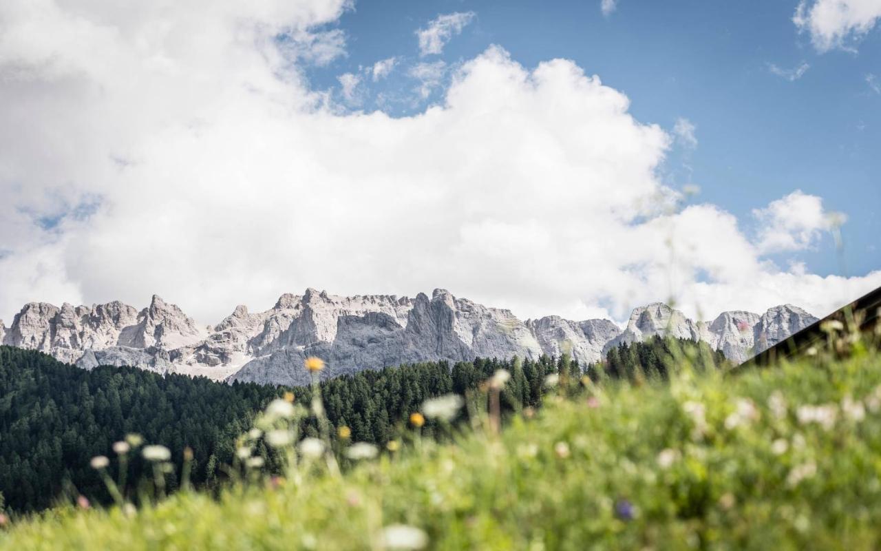 Cadepunt The Dolomites Lodge เซลวาดีวัลการ์เดนา ภายนอก รูปภาพ