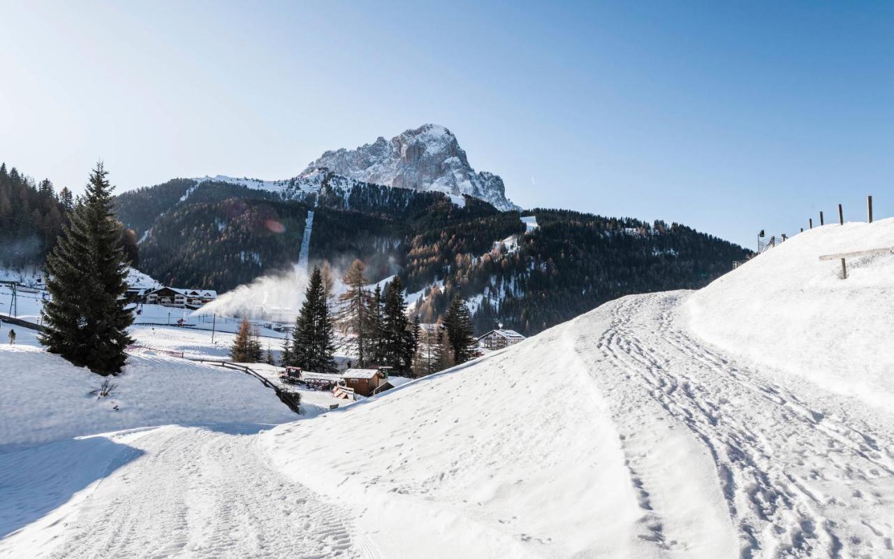 Cadepunt The Dolomites Lodge เซลวาดีวัลการ์เดนา ภายนอก รูปภาพ